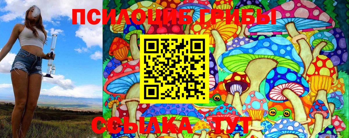 Псилоцибиновые грибы Psilocybe Миасс