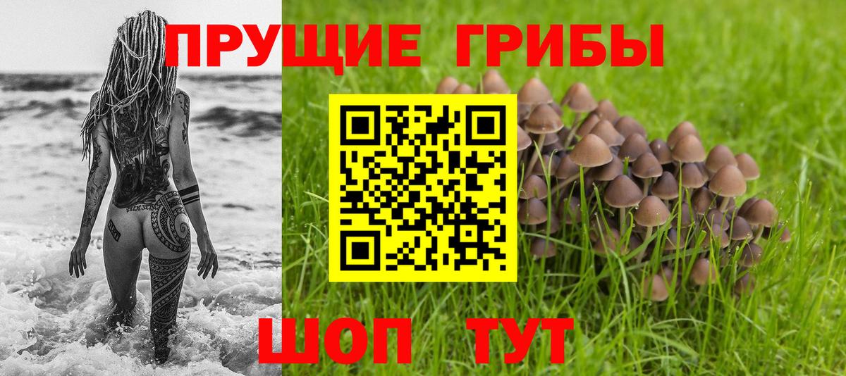 Псилоцибиновые грибы мицелий  Вход с VPN  Миасс 
